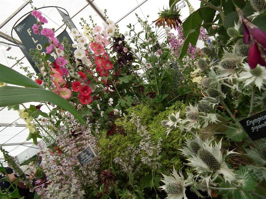 Floral marquee in the long water area 9
